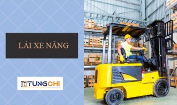 Công Ty Cổ Phần Tùng Chi Tuyển Dụng Nhân Viên Lái Xe Nâng